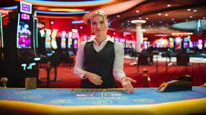 Catatan privasi badak178slot untuk pengguna dewasa